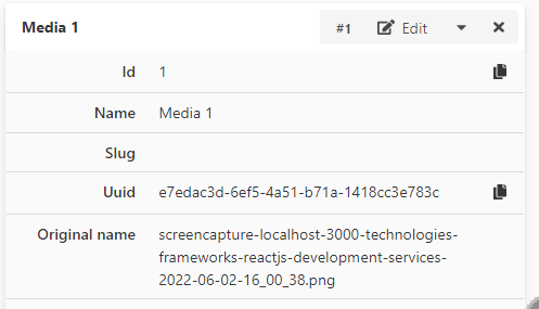  View Media Attributes 