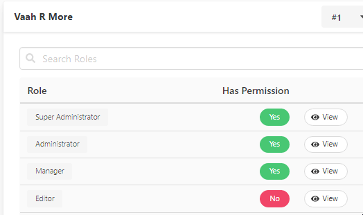 Manage Roles and Permissions